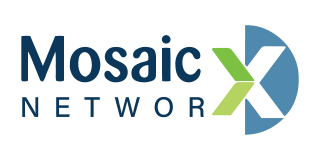 Mosaic Networks